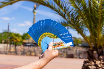 24 Toverland-tickets